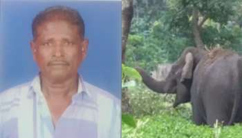 Wild Elephant attack: കാട്ടാന ആക്രമണത്തില്‍ ഒരു മരണം കൂടി; ചികിത്സയിലായിരുന്ന കര്‍ഷകന്‍ മരിച്ചു