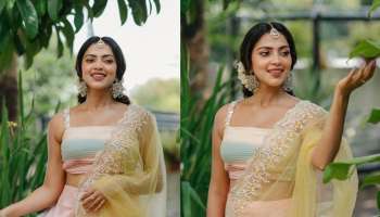 Amala Paul: അഭിനയത്തെ എതിർത്ത വീട്ടിൽ നിന്ന് അമല പോൾ എങ്ങനെ നടിയായി, താരത്തെ പറ്റി അറിയാത്തത് ചിലത്