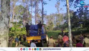Captured tiger transfered to Thrissur