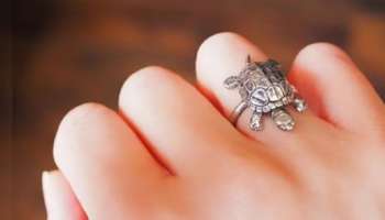 Tortoise Ring Benefits: സമ്പത്ത് കുന്നുകൂടും അത്ഭുത ഫലങ്ങൾ; ആമ മോതിരം ധരിച്ചാലുള്ള ഗുണങ്ങൾ
