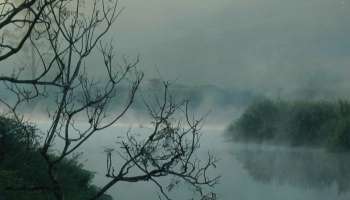 Munnar: തണുത്ത് വിറച്ച് മൂന്നാർ; പലയിടത്തും തണുപ്പ് 0 ഡിഗ്രിയിൽ താഴെ