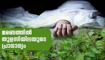 Importance of Tulsi in Death: മരണത്തെ ക്ഷണിച്ചുവരുത്താൻ..? ഒരു വ്യക്തിയുടെ അവസാനസമയത്ത് തുളസിയുടെ പ്രാധാന്യം