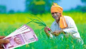 PM-Kisan Yojana: ഇടക്കാല ബജറ്റില്‍ കര്‍ഷകര്‍ക്കുള്ള ധനസഹായം വര്‍ദ്ധിപ്പിക്കുമോ? റിപ്പോർട്ട് എന്താണ് പറയുന്നത്? 