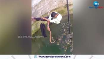 man catching deadly snake from water viral video goes trending on social media
