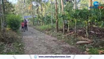 Tiger attack reported again in wayanad pulppally