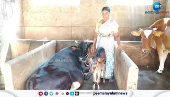 Watch A Calf Born With Five Legs in Thiruvananthapuram 