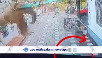 Watch Shocking CCTV Visuals of Elephant Attack in Wayanad