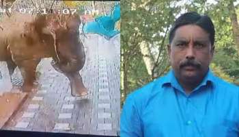 Wayanad Elephant Attack: വയനാട്ടിൽ കാട്ടാനയുടെ ആക്രമണത്തിൽ ഒരാൾ കൊല്ലപ്പെട്ടു