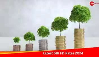 Latest SBI FD Rates 2024: എസ്ബിഐയില്‍ സ്ഥിര നിക്ഷേപം നടത്തിയാല്‍ റിട്ടേൺ എത്ര ലഭിക്കും? 