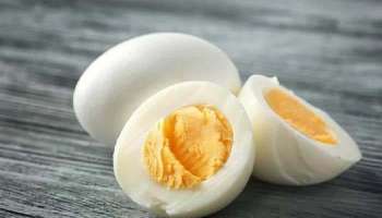 Boiled Egg Benefits: വെറും വയറ്റില്‍ പുഴുങ്ങിയ മുട്ട കഴിക്കുന്നത് ആരോഗ്യത്തിന് ഗുണകരമോ?