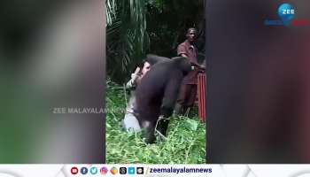 Watch a heart felt moment that a Chimp says bye to his trainers in forest