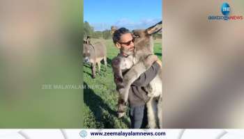 Watch how donkey kids making love to human