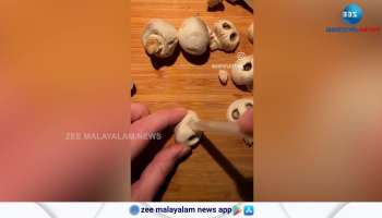 Pizza Shop guy found a New Style Toppings like skulls video responses went viral