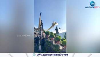 Watch Video a White Peacock Jumping from a Roof Top