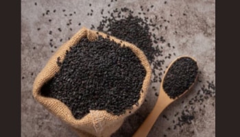 Black Sesam Seeds Benefits: പ്രമേഹത്തെ തുരത്തണോ..? ദിവസവും ഇത് ഒരു സ്പൂൺ കഴിക്കൂ