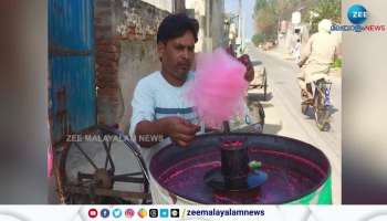 Sale of cotton candy banned in Puducherry