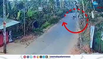 Tiger found in wayanad mananthavady