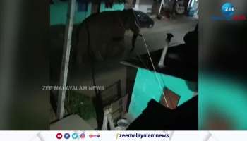 Wild emephant herd in Chinnakanal BL ram for almost four months