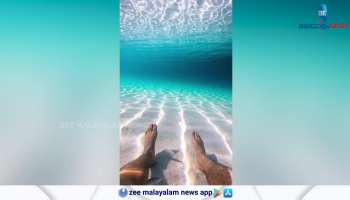 Watch Video of Crystal clear sea water
