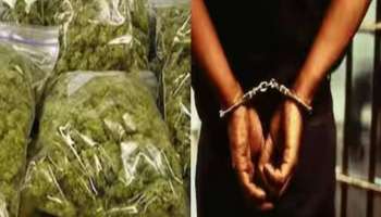 Marijuana Seized: പാലായില്‍ വൻ കഞ്ചാവ് വേട്ട; മൂന്ന് കിലോ കഞ്ചാവുമായി നാല് ഒഡീഷ സ്വദേശികള്‍ അറസ്റ്റില്‍
