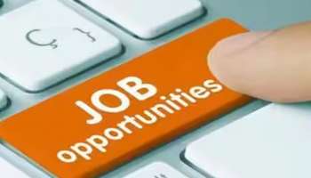 Job Vacancy: സഹകരണ വകുപ്പിൽ പബ്‌ളിക് റിലേഷൻസ് ആന്റ് സോഷ്യൽ മീഡിയ കൺസൾട്ടന്റ് തസ്തികയിൽ ഒഴിവ്; പ്രതിമാസ വരുമാനം 40,000 രൂപ
