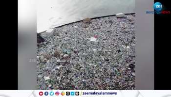 Huge tons of plastic wastes in Sea