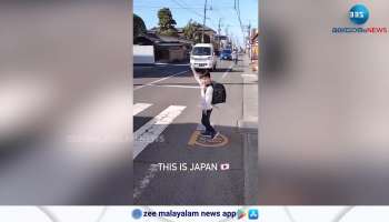 Watch video Pedastrian crossing in Japan