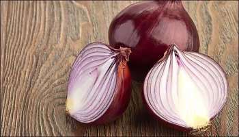 Onion Price Hike: സവാള വില വര്‍ദ്ധനവ്‌, കയറ്റുമതി നിരോധനം മാർച്ച് 31 നീട്ടി കേന്ദ്ര സർക്കാർ