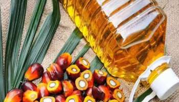 Palm Oil: ആരോഗ്യം നശിപ്പിക്കുന്ന പാം ഓയിൽ; പാം ഓയിൽ ഉപയോഗിക്കുന്നതിൻറെ ദോഷങ്ങൾ