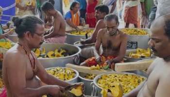 Guruvayur Utsavam 2024: ചോറ്,രസകാളൻ ചെത്തുമാങ്ങ അച്ചാർ; ഗുരുവായൂർ പ്രസാദ ഊട്ടിന് ഭക്തജന തിരക്ക്