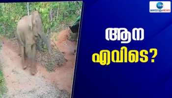 Wild Elephant: ബേലൂർ മഗ്നയെ പിടികൂടാനുള്ള ദൗത്യം 14 ദിവസം പിന്നിട്ടു, തിരച്ചിൽ തുടരുന്നു; പ്രതിഷേധം ശക്തം