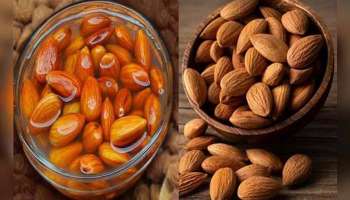 Almonds Benefits: ബദാം  എങ്ങിനെ കഴിയ്ക്കണം? ശ്രദ്ധിക്കേണ്ട കാര്യങ്ങള്‍ 