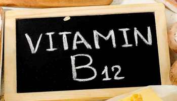 B12 Rich Vegetarian Foods: വിറ്റമിന്‍ B 12 ന്‍റെ കുറവ് പരിഹരിക്കും ഈ സസ്യാഹാരങ്ങള്‍