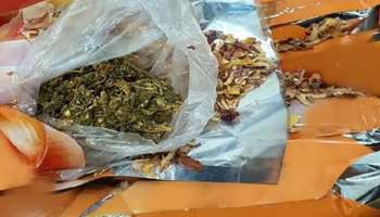 Drugs Seized: സവാള കയറ്റുമതിയുടെ മറവിൽ കഞ്ചാവ് കടത്ത്; ദുബൈയിൽ പിടികൂടിയത്  26.45 കിലോ കഞ്ചാവ്