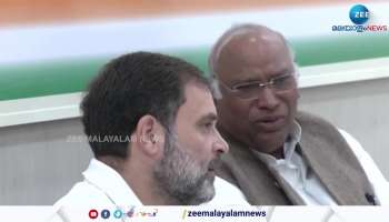 Lok Sabha Election 2024 Rahul Gandhi Likely To Not To Contest From Wayanad Constituency
