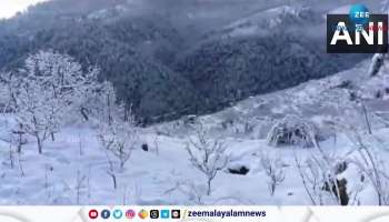 Watch Himachal Pradesh Snow Fall Looks Like Wow