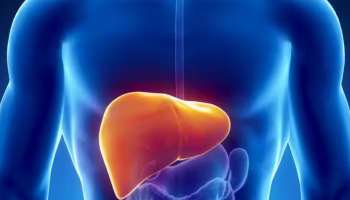 Fatty liver: ഈ ഭക്ഷണങ്ങൾ കഴിക്കൂ... ഫാറ്റി ലിവറിനെ പ്രതിരോധിക്കാം