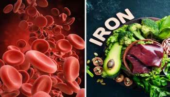 Iron Foods: ശരീരത്തില്‍ ഇരുമ്പിന്‍റെ അളവ് വര്‍ദ്ധിപ്പിക്കും ഈ ഭക്ഷണപദാര്‍ത്ഥങ്ങള്‍ 