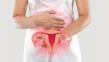 Ovarian Cancer Symptoms: അണ്ഡാശയ ക്യാൻസർ; ശരീരം കാണിക്കുന്ന ഈ 8 ലക്ഷണങ്ങളെ തിരിച്ചറിയൂ