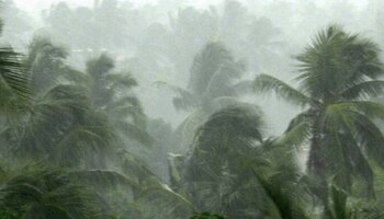 Kerala weather: ഈ പ്രവചനം അച്ചട്ടാകണേ...; ഇന്ന് 8 ജില്ലകളിലും നാളെ 3 ജില്ലകളിലും മഴയ്ക്ക് സാധ്യത