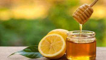 Honey Face Packs: അല്പം തേന്‍ മതി ചര്‍മ്മം വെട്ടിത്തിളങ്ങും!! ഈ ഫേസ് പാക്ക് ഒന്ന് പരീക്ഷിച്ചു നോക്കൂ 