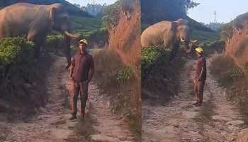 Wild Elephant : മൂന്നാറിൽ കാട്ടാനയെ പ്രകോപിപ്പിച്ചുകൊണ്ട്  യുവാവിന്റെ ഫോട്ടോഷൂട്ട്