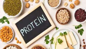Protein-Rich Diet: സ്ത്രീകൾ പ്രോട്ടീൻ സമ്പുഷ്ടമായ ഡയറ്റ് പിന്തുടരണം; കാരണങ്ങൾ ഇതാ