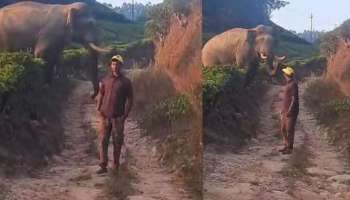 Wild Elephant: മൂന്നാറിൽ ‘കബാലി’ക്കു മുന്നിൽ ഫോട്ടോഷൂട്ട്; രണ്ട് യുവാക്കൾക്കെതിരെ കേസ്