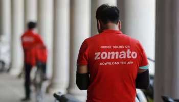 Zomato New Feature: നിങ്ങളൊരു വെജിറ്റേറിയനാണോ? എങ്കിൽ സൊമാറ്റോയിൽ ഇത് നിങ്ങൾക്ക് വേണ്ടി മാത്രം