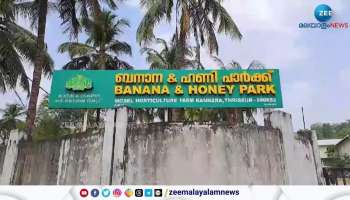 Thrissur Based Out Banana And Honey Park Under Crisis Due To This Reason