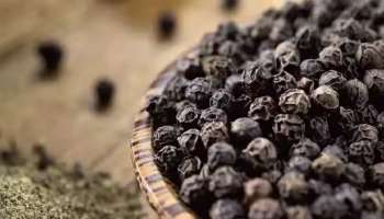 Black Pepper Theft: കുരുമുളക് എന്താ വില? 400 കിലോ അടിച്ച് മാറ്റി മോഷ്ടാക്കൾ, വില കേട്ട് പോലീസും ഞെട്ടി