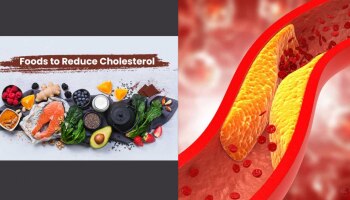 Foods that lower Cholesterol: കൊളസ്ട്രോൾ കുറയ്ക്കാൻ ഈ 4 ഭക്ഷണം രാവിലെ പതിവാക്കൂ...! കാണാം മാജിക്ക് 
