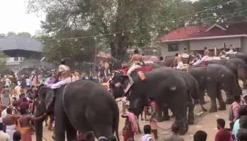 Arattupuzha Pooram: ആറാട്ടുപുഴ പൂരത്തിനിടെ വീണ്ടും ആന ഇടഞ്ഞു; രണ്ട് ദിവസത്തിനിടെ ഇടഞ്ഞത് മൂന്ന് ആനകൾ