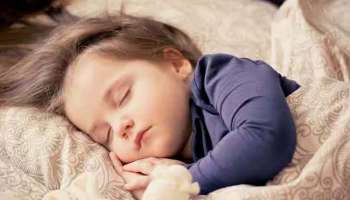 Good Sleep and Food: ഉറക്കം ശരിയാകുന്നില്ലേ? രാത്രിയില്‍ കഴിയ്ക്കാം ഈ ഭക്ഷണങ്ങള്‍